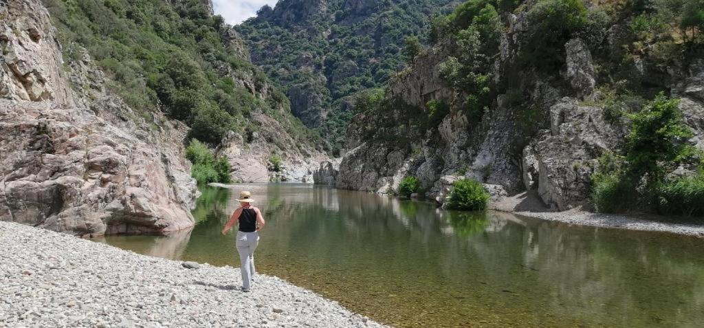 Ferula Romantica Mansarda Tra Fiumi E Montagne Sardegna *