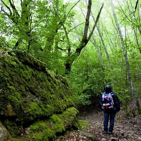Ferula Romantica Mansarda Tra Fiumi E Montagne Sardegna Seulo Exterior photo