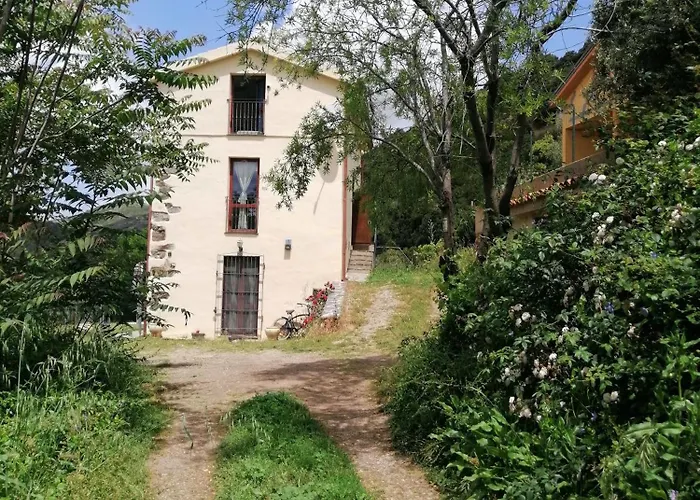 Ferula Romantica Mansarda Tra Fiumi E Montagne Sardegna