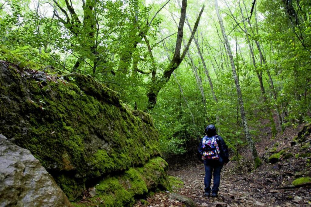 Ferula Romantica Mansarda Tra Fiumi E Montagne Sardegna Holiday home *