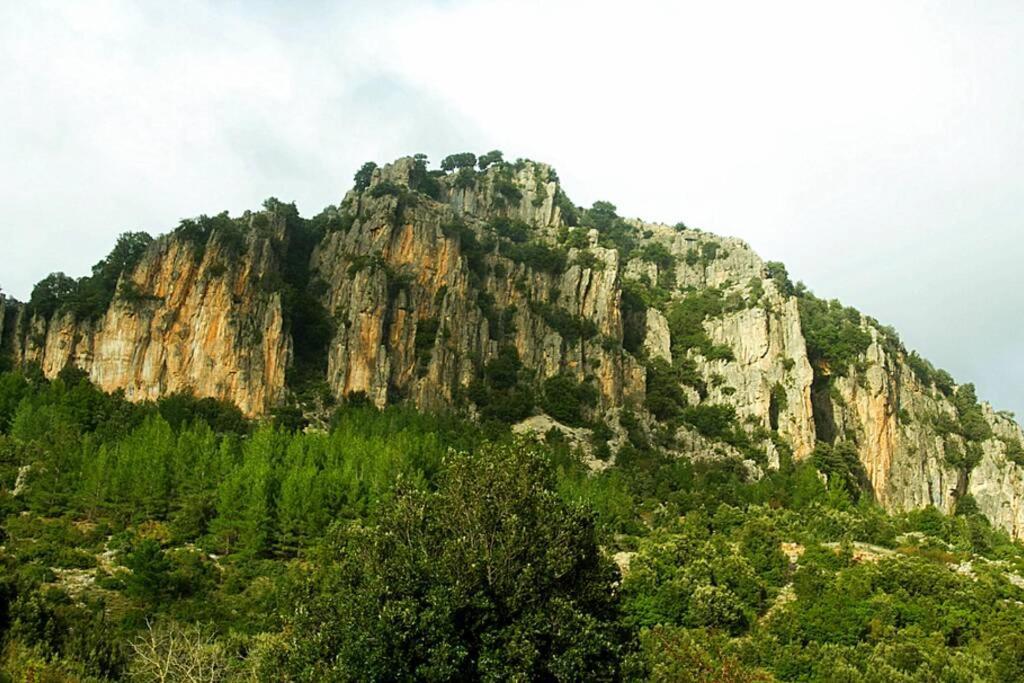 Ferula Romantica Mansarda Tra Fiumi E Montagne Sardegna *