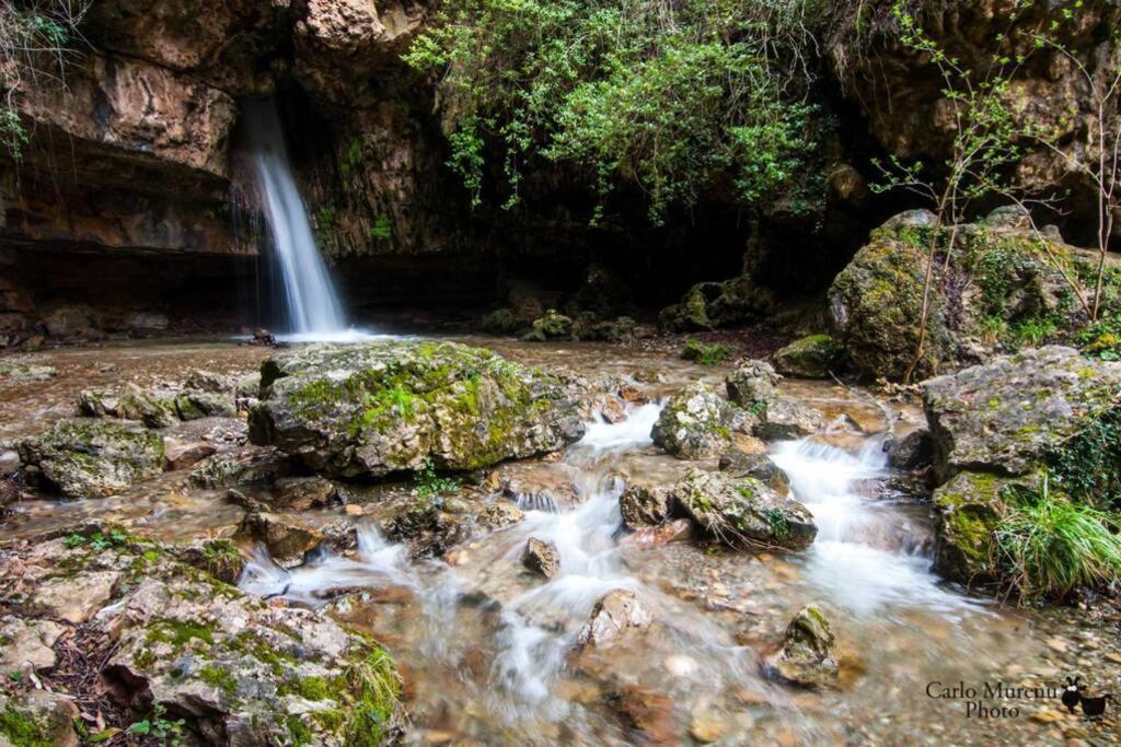 Ferula Romantica Mansarda Tra Fiumi E Montagne Sardegna *