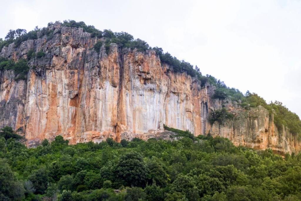 Ferula Romantica Mansarda Tra Fiumi E Montagne Sardegna Seulo