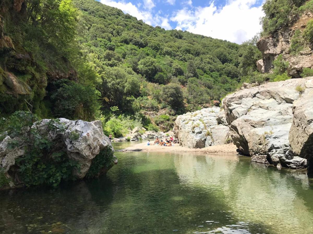 Ferula Romantica Mansarda Tra Fiumi E Montagne Sardegna